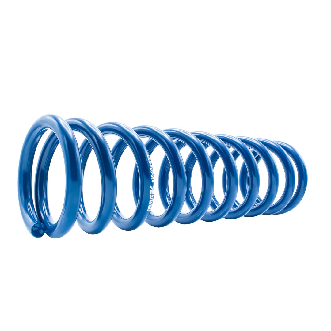 Rallitek Rallitek 1" Lift Overload Spring Kit - Fits 22-25 Subaru Outback Wilderness - Image 2