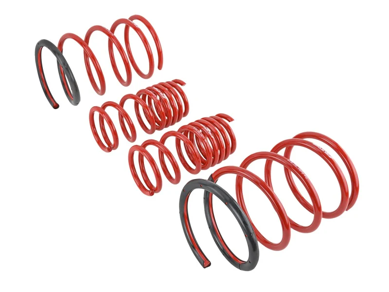 Skunk2 01-05 Honda Civic Lowering Springs (2.25in - 2.00in.) (Set of 4) - Image 3