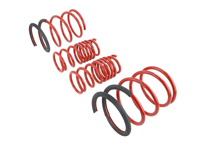 Skunk2 02-04 Acura RSX Lowering Springs (2.25in - 2.00in.) (Set of 4) - Image 3