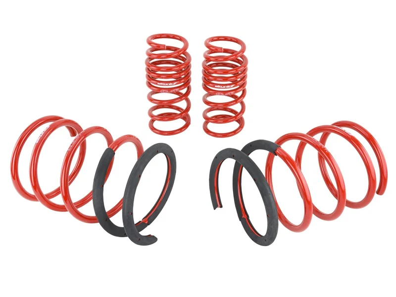Skunk2 02-04 Acura RSX Lowering Springs (2.25in - 2.00in.) (Set of 4) - Image 4