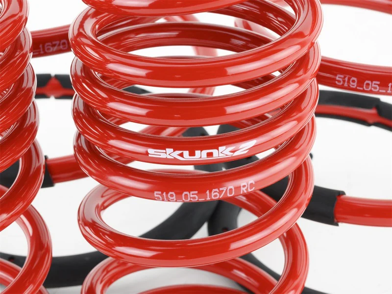 Skunk2 02-04 Acura RSX Lowering Springs (2.25in - 2.00in.) (Set of 4) - Image 7