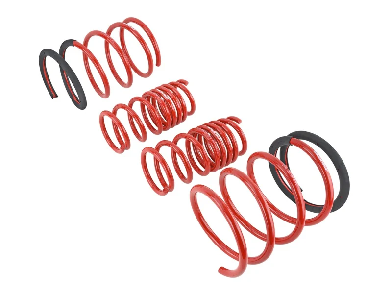 Skunk2 05-06 Acura RSX Lowering Springs (2.25in - 2.00in.) (Set of 4) - Image 5