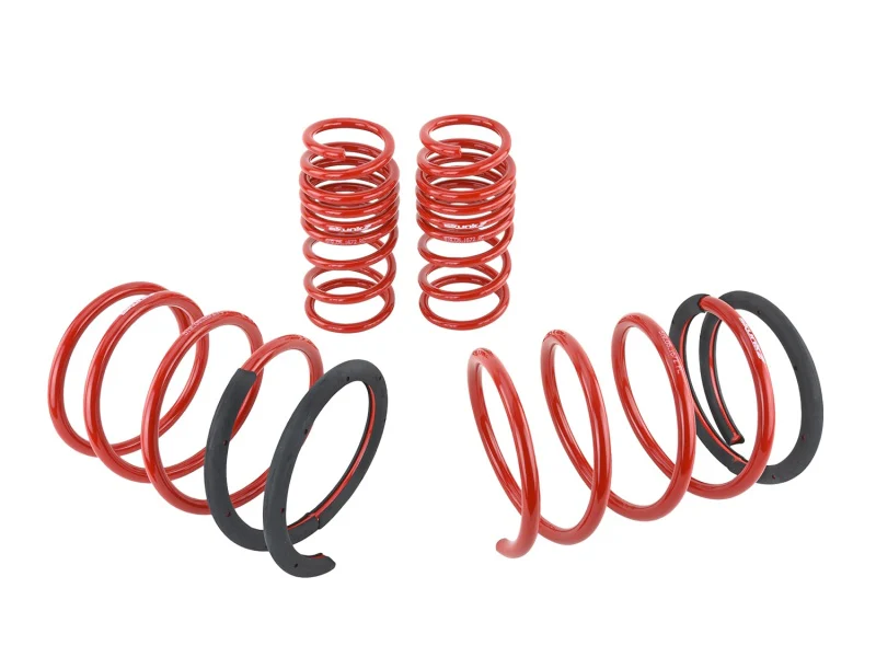 Skunk2 05-06 Acura RSX Lowering Springs (2.25in - 2.00in.) (Set of 4) - Image 8