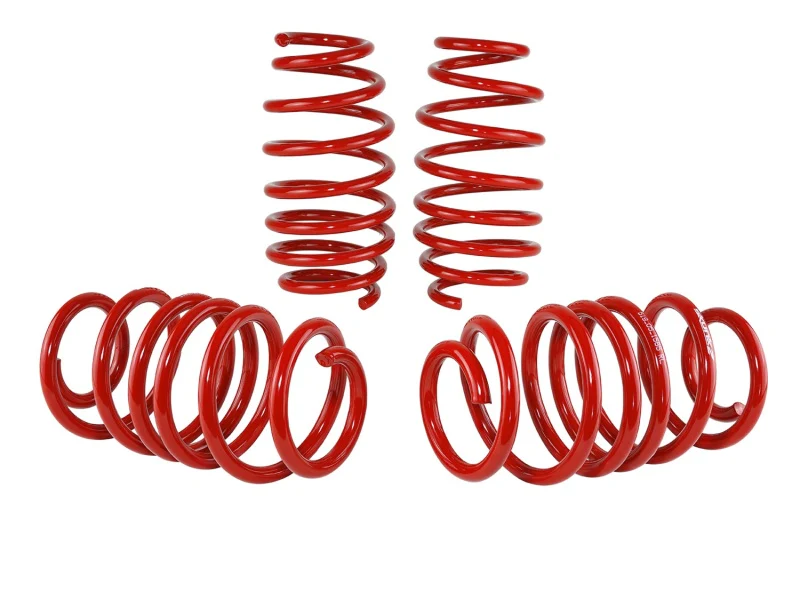 Skunk2 12 Honda Civic Lowering Springs (2.25 - 2.00in) (Set of 4) - Image 5