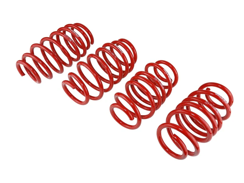 Skunk2 12 Honda Civic Lowering Springs (2.25 - 2.00in) (Set of 4) - Image 7