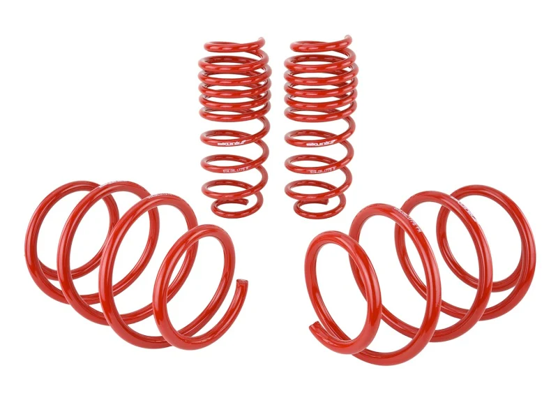 Skunk2 16-17 Honda Civic Lowering Springs (1.375in - 1.25in) (Set of 4) - Image 3