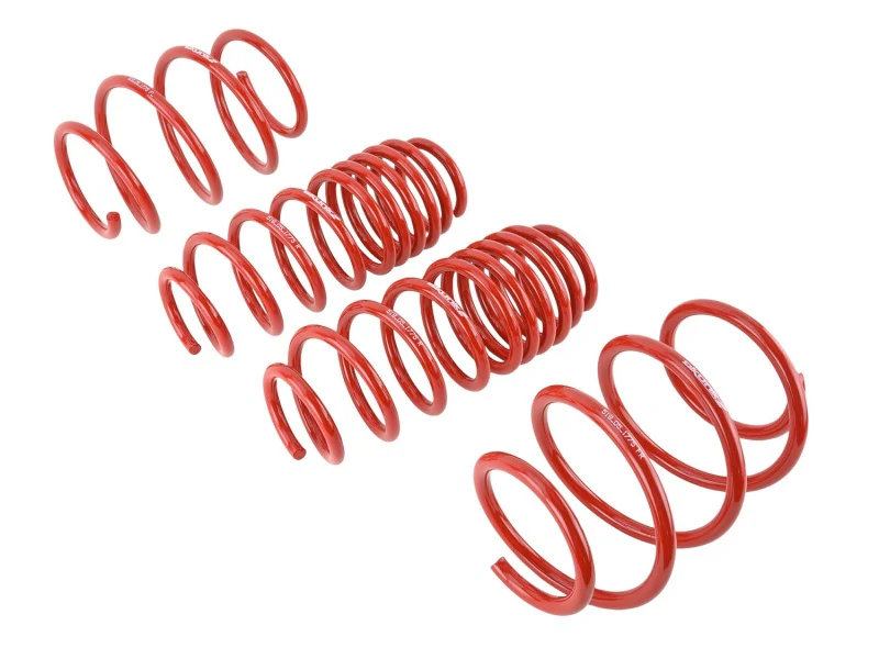 Skunk2 16-17 Honda Civic Lowering Springs (1.375in - 1.25in) (Set of 4) - Image 6