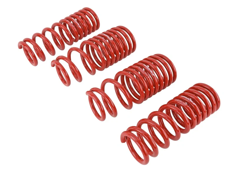 Skunk2 88-91 Honda Civic/CRX Lowering Springs (2.50in - 2.25in.) (Set of 4) - Image 3