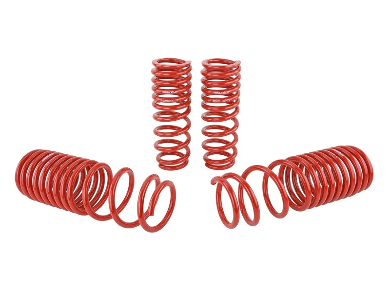 Skunk2 90-97 Honda Accord (All Models) Lowering Springs (2.00in. - 1.80in.) (Set of 4) - Image 4