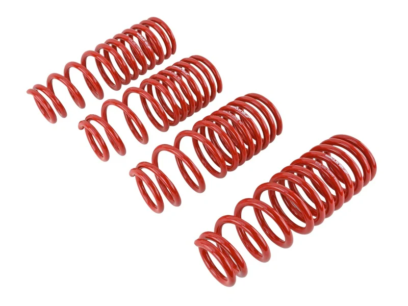 Skunk2 92-95 Honda Civic/Del Sol Lowering Springs (2.50in - 2.25in.) (Set of 4) - Image 6