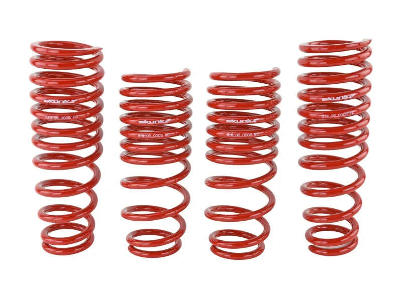 Skunk2 96-00 Honda Civic Lowering Springs (2.50in - 2.25in.) (Set of 4) - Image 3