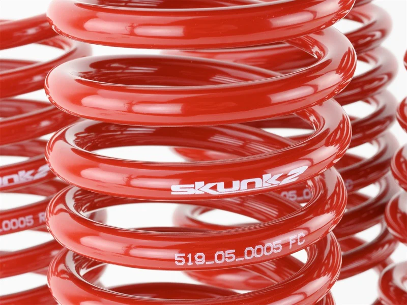 Skunk2 96-00 Honda Civic Lowering Springs (2.50in - 2.25in.) (Set of 4) - Image 4