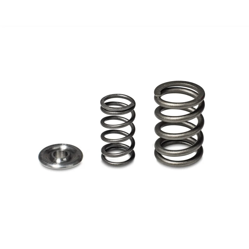 Skunk2 Alpha Series Honda/Acura H Series Valve Spring and Titanium Retainer Kit - Image 2