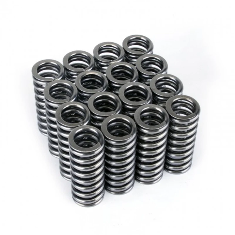 Skunk2 Alpha Series Honda D Series VTEC Valve Spring Set - Image 2