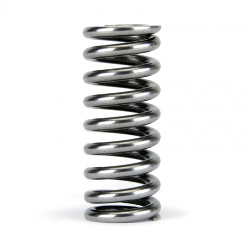 Skunk2 Alpha Series Honda D Series VTEC Valve Spring Set - Image 7