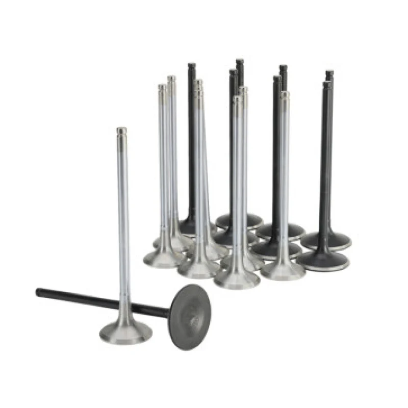 Skunk2 Honda K20C1 Alpha Series Intake & Exhaust Valve Set (Standard Compression)
