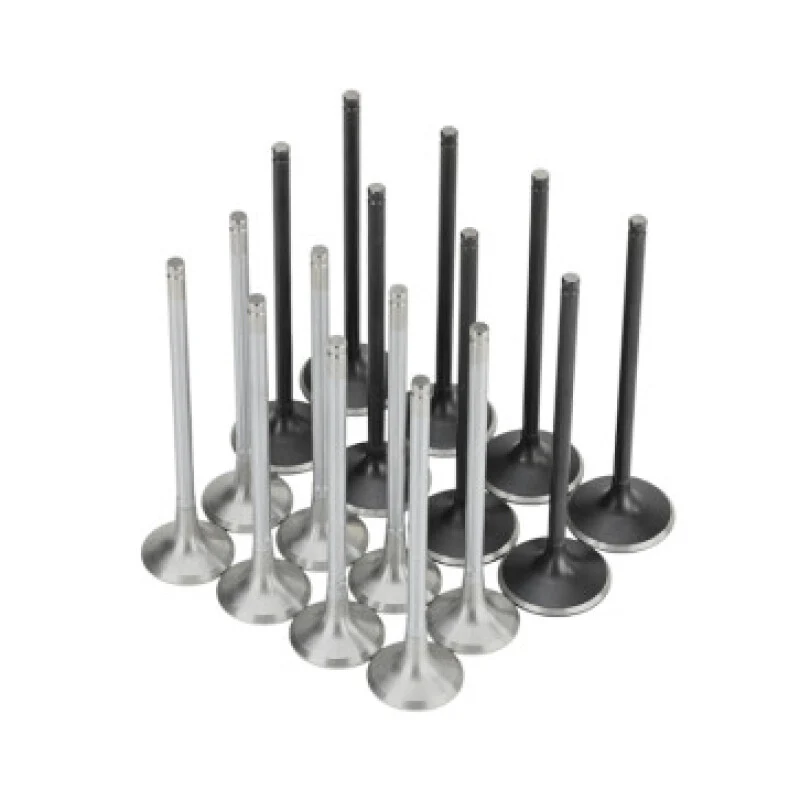 Skunk2 Honda K20C1 Alpha Series Intake & Exhaust Valve Set (Standard Compression) - Image 2
