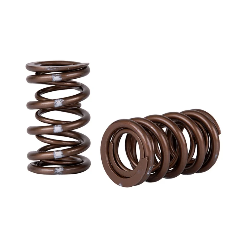 Skunk2 Pro Series Honda/Acura K-Series i-VTEC XP Valve Spring Set (Dual Springs) - Image 2
