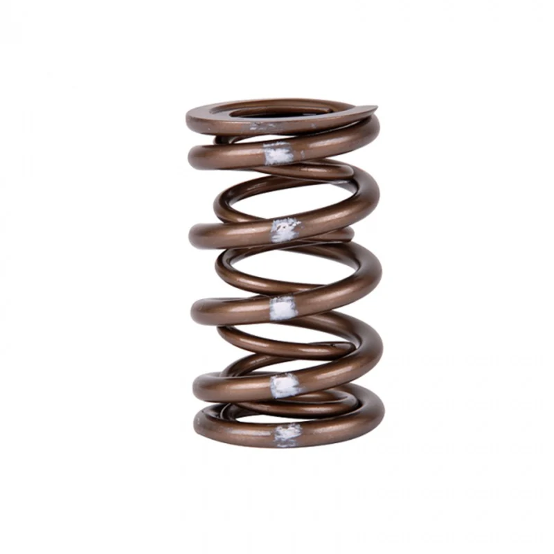 Skunk2 Pro Series Honda/Acura K-Series i-VTEC XP Valve Spring Set (Dual Springs) - Image 3