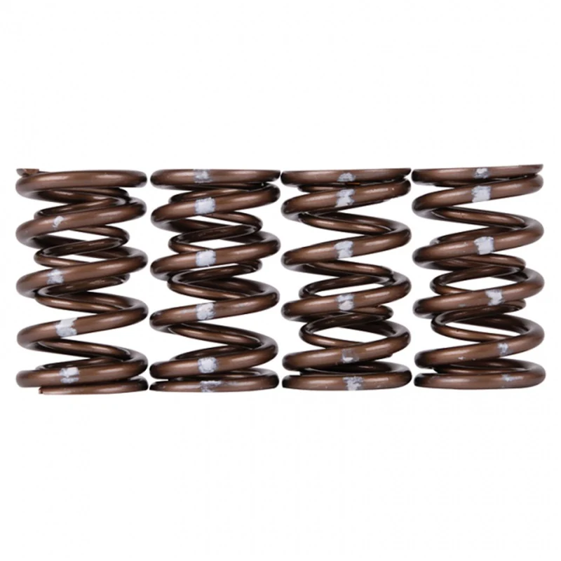 Skunk2 Pro Series Honda/Acura K-Series i-VTEC XP Valve Spring Set (Dual Springs) - Image 4