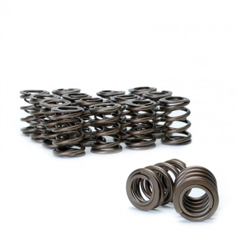 Skunk2 Tuner Series Honda/Acura (B16A/ B17A/ B18C) DOHC VTEC Alpha Valve Spring Set (Dual Springs) - Image 4