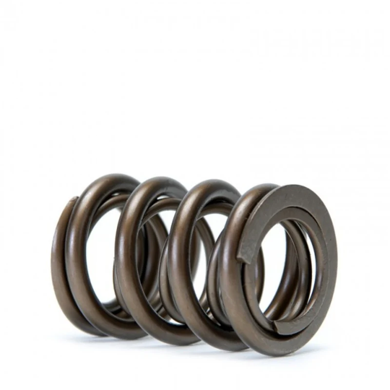 Skunk2 Tuner Series Honda/Acura (B16A/ B17A/ B18C) DOHC VTEC Alpha Valve Spring Set (Dual Springs) - Image 5