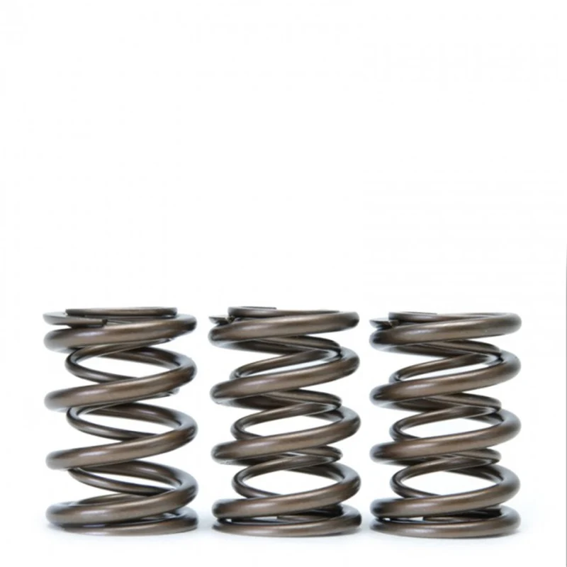 Skunk2 Tuner Series Honda/Acura (H22A/F20B) DOHC VTEC Alpha Valve Spring Set (Dual Springs) - Image 3