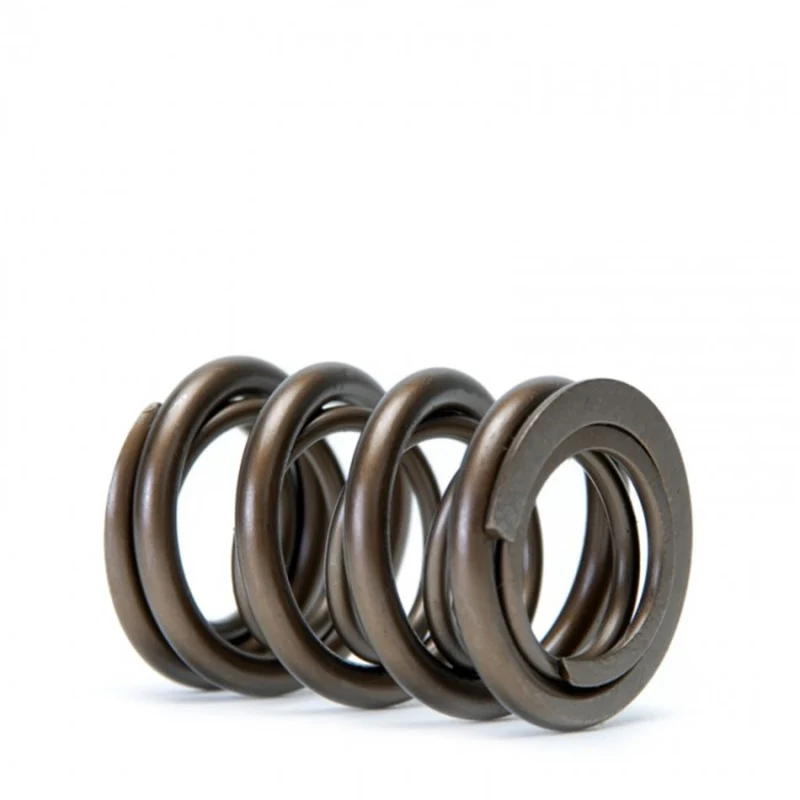 Skunk2 Tuner Series Honda/Acura (H22A/F20B) DOHC VTEC Alpha Valve Spring Set (Dual Springs) - Image 4