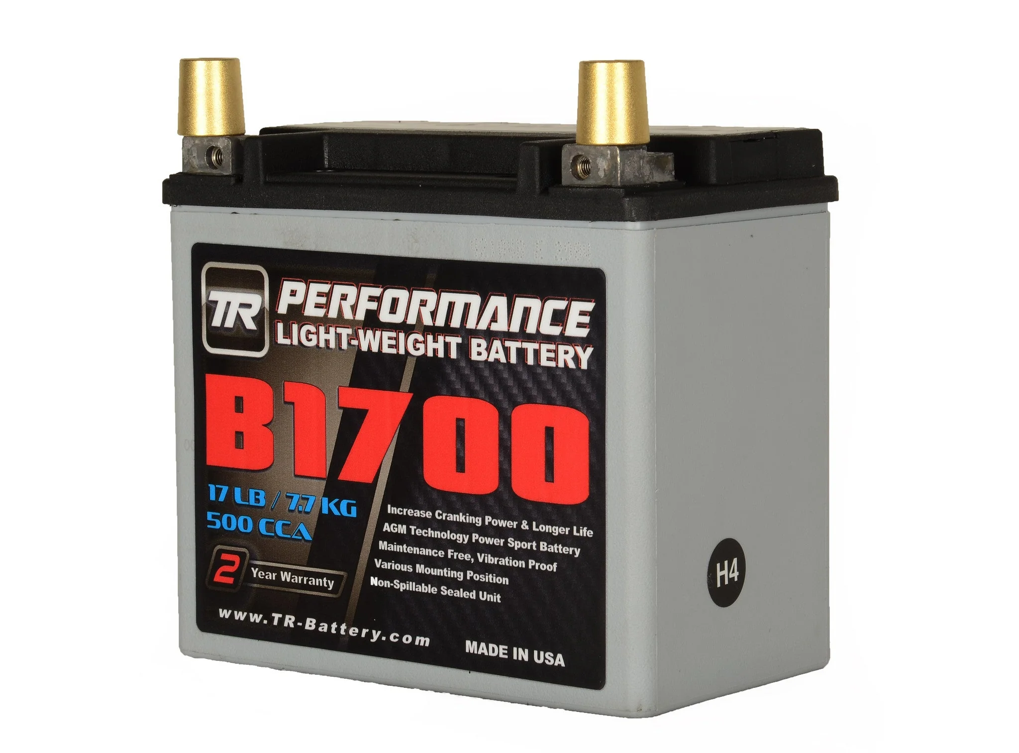 TR-B1700 17LBS AGM Lightweight Battery Street Use Race Use Track Use Universal Fit with Battery Tender (Optional) - Image 6